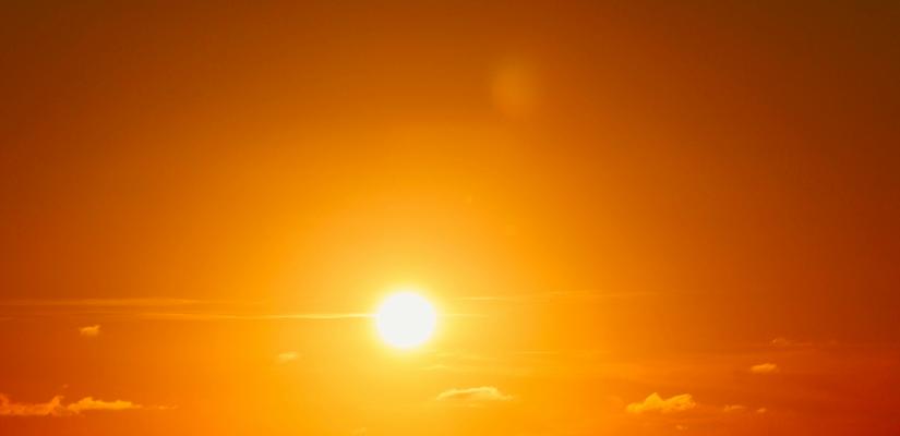 Zon